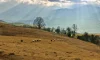 Привет, мир!